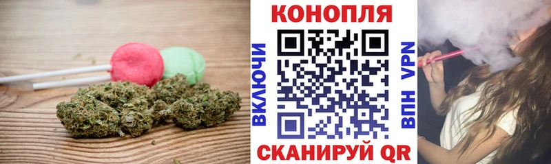 Cannafood конопля  Купить где  Элиста 