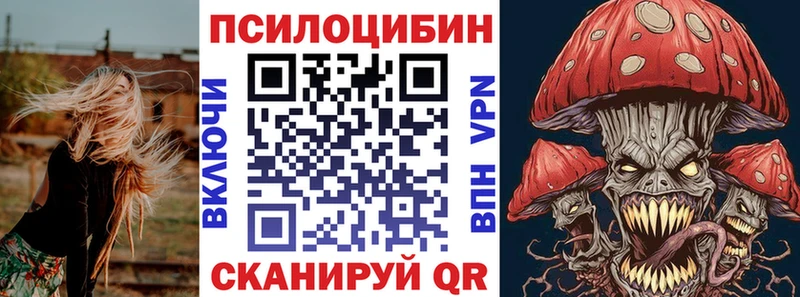 Галлюциногенные грибы Cubensis  Купить где  Элиста 